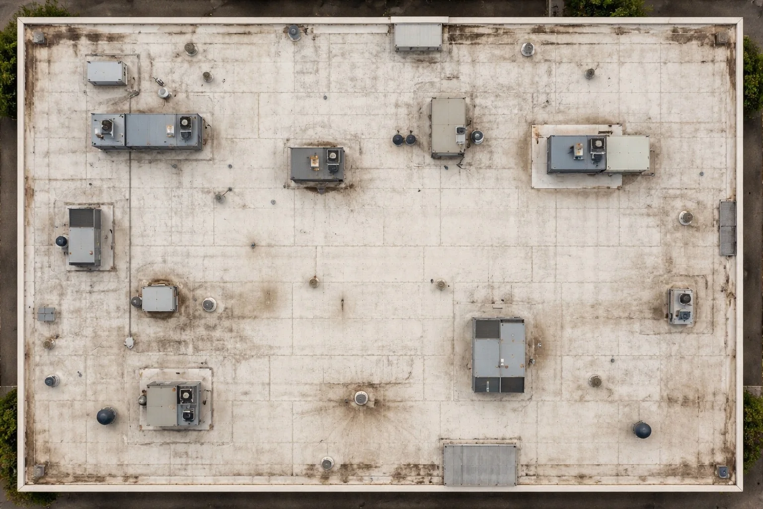 Representative raw orthomosaic